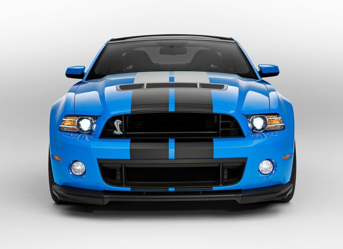 2013 -2014 FORD MUSTANG DUAL 10" FACTORY SHELBY STYLE RACING STRIPES