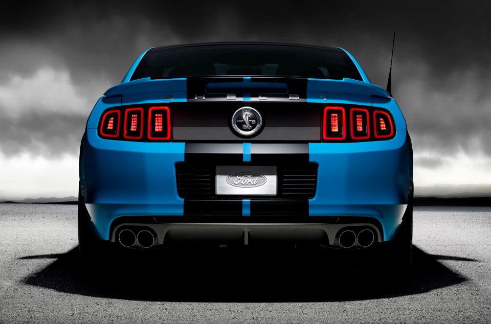 2013 -2014 FORD MUSTANG DUAL 10" FACTORY SHELBY STYLE RACING STRIPES
