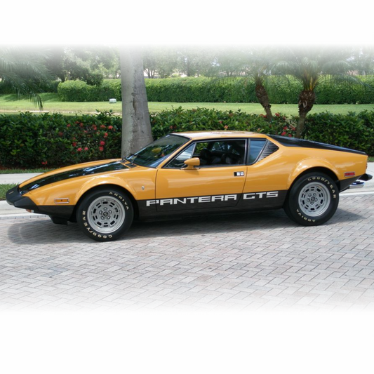 Pantera GTS Body Side Restoration Decal Set