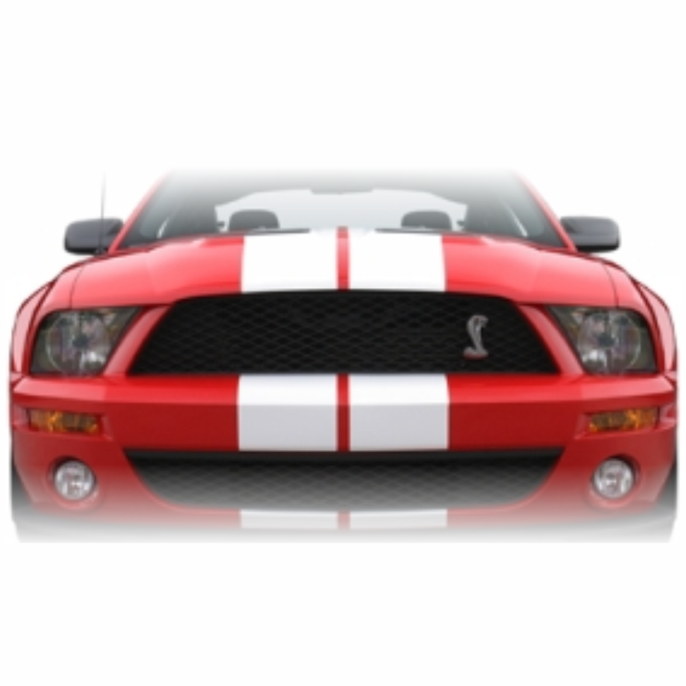 2005 - 2009 FORD MUSTANG DUAL 10" FACTORY STYLE RACING STRIPES