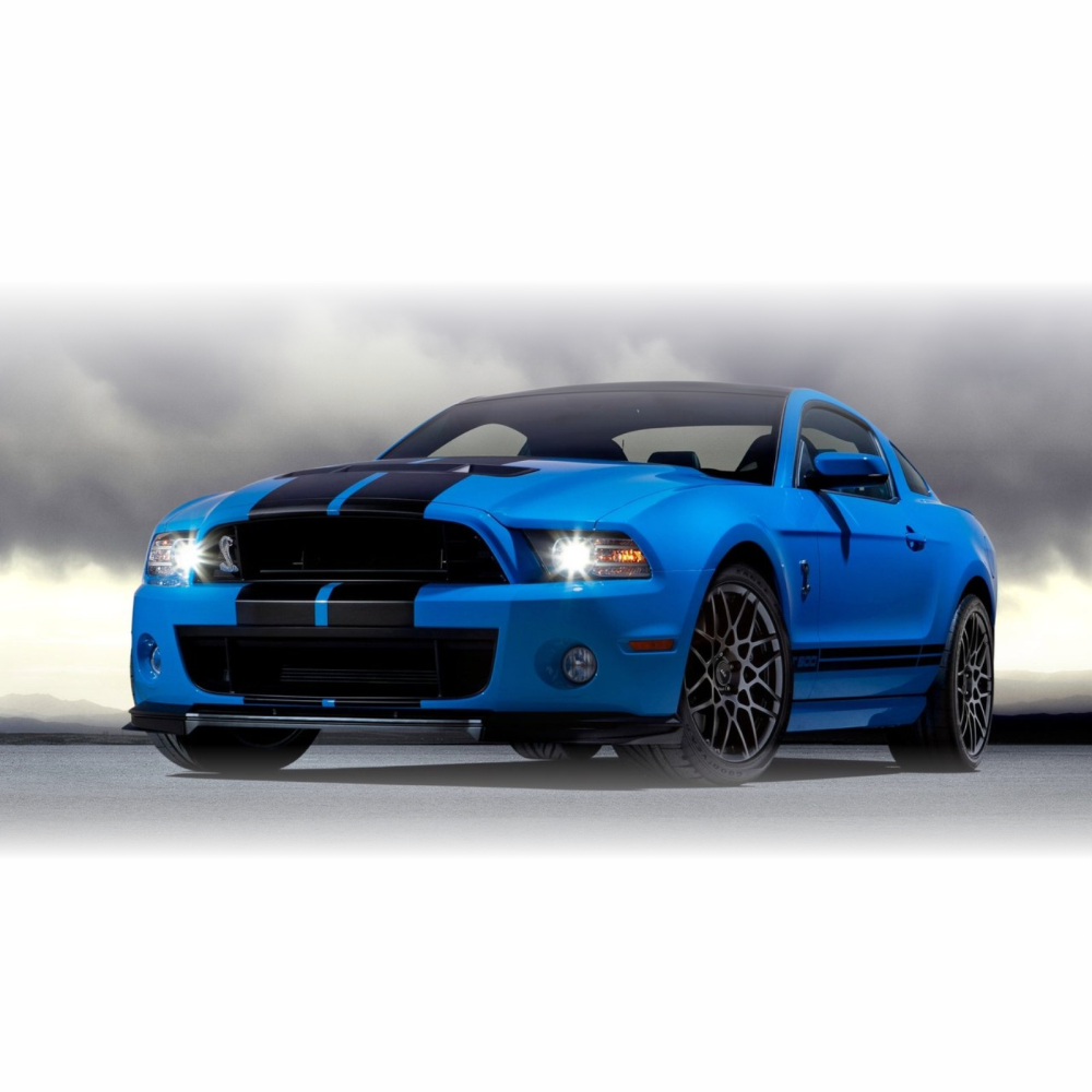 Ford Mustang 2010 - 2012 Dual 10" Rally Shelby Style Replacement Restoration Stripes  