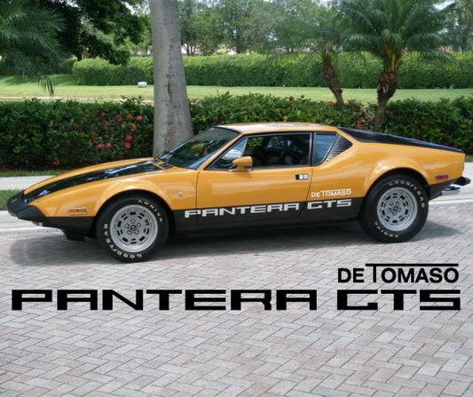 DeTomaso Pantera GTS Body Side Decals Restoration Replacement Graphics
