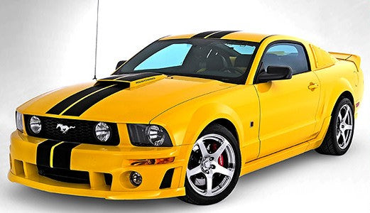 2005 - 2009 FORD MUSTANG DUAL 8" LEMANS STYLE RACING STRIPES